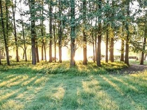 乐山水土保持方案公司为你介绍植树造林的好处.jpg